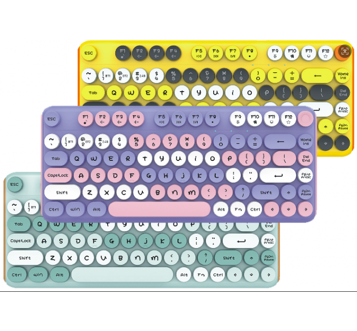 SWK-012    55 Keys Wireless Keyboard